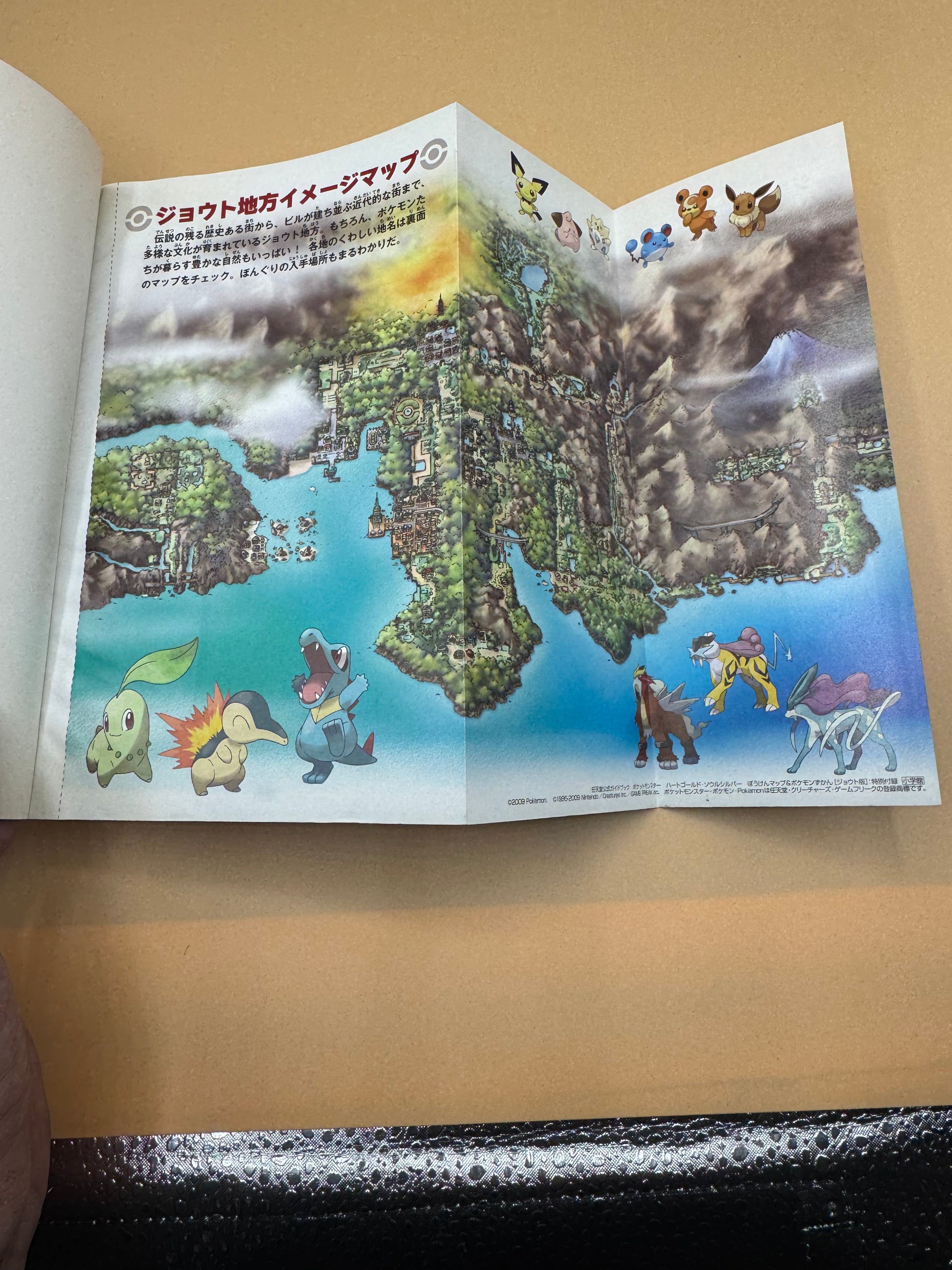 Open Japanese Pokémon guidebook displaying an illustrated landscape map across two pages